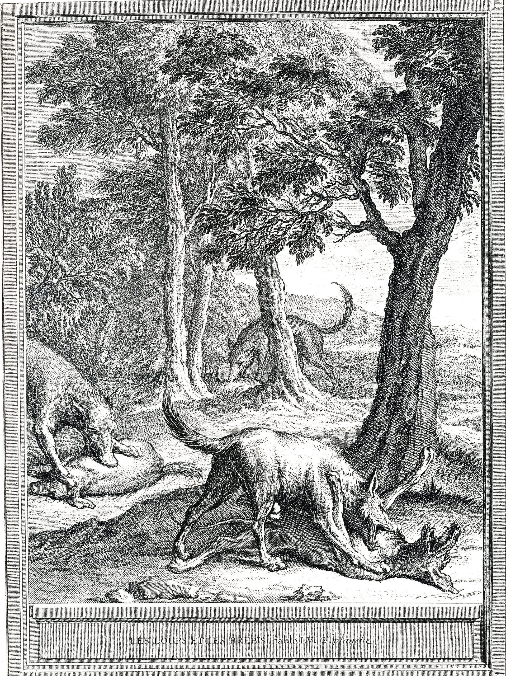 Le Loup et les Brebis